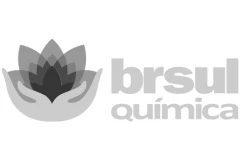 BrSul Química